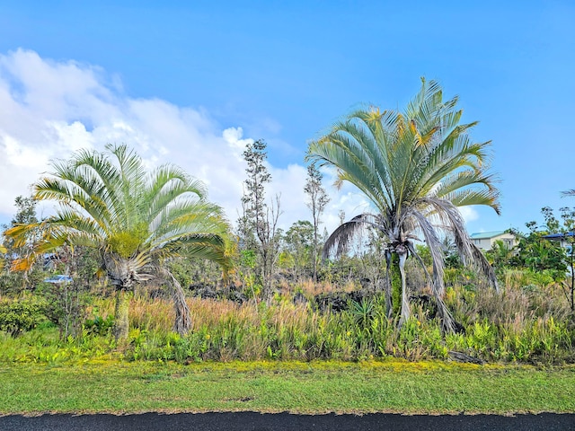 Kalaunu St, Pahoa, HI 96778 - photo 4