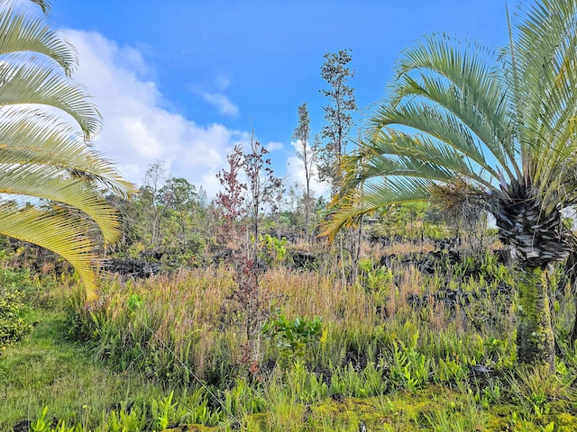 Kalaunu St, Pahoa, HI 96778 - photo 5