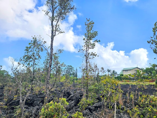 Kalaunu St, Pahoa, HI 96778 - photo 11