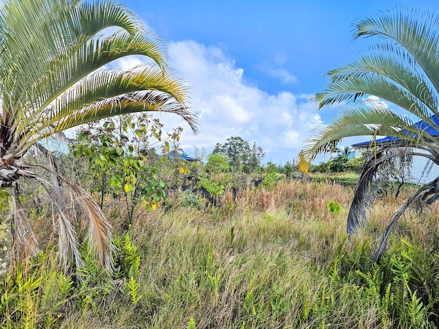 Kalaunu St, Pahoa, HI 96778 - photo 6