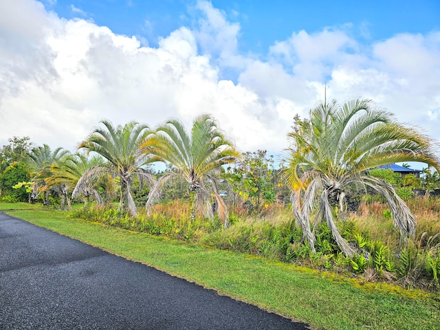 Kalaunu St, Pahoa, HI 96778 - photo 15