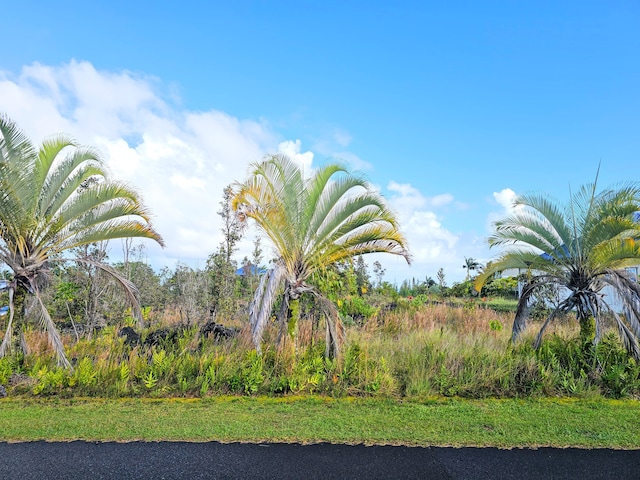 Kalaunu St, Pahoa, HI 96778 - photo 12