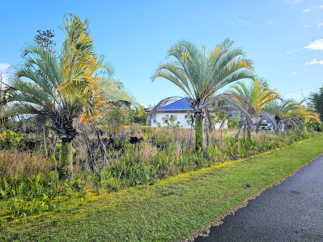 Kalaunu St, Pahoa, HI 96778 - photo 14