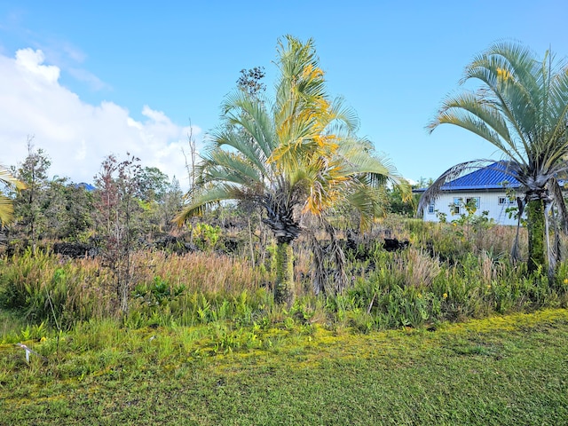 Kalaunu St, Pahoa, HI 96778 - photo 13