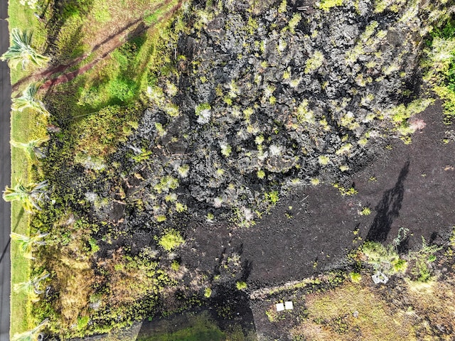 Kalaunu St, Pahoa, HI 96778 - photo 16