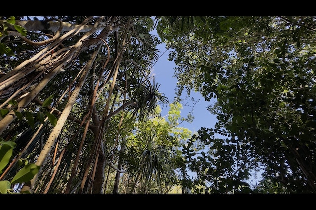 Kilika Rd, Keaau, HI 96749