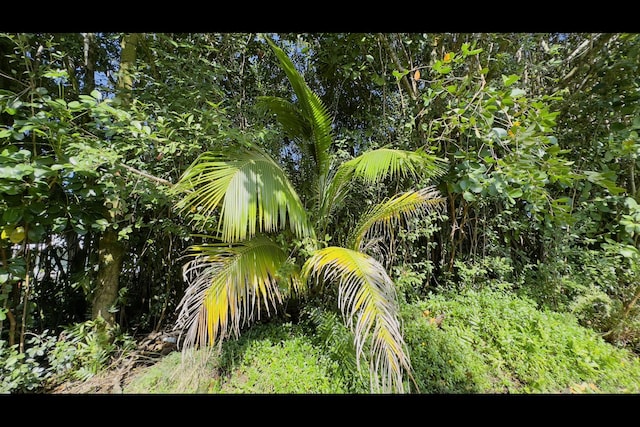 Kilika Rd, Keaau, HI 96749
