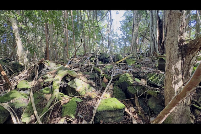 Kilika Rd, Keaau, HI 96749