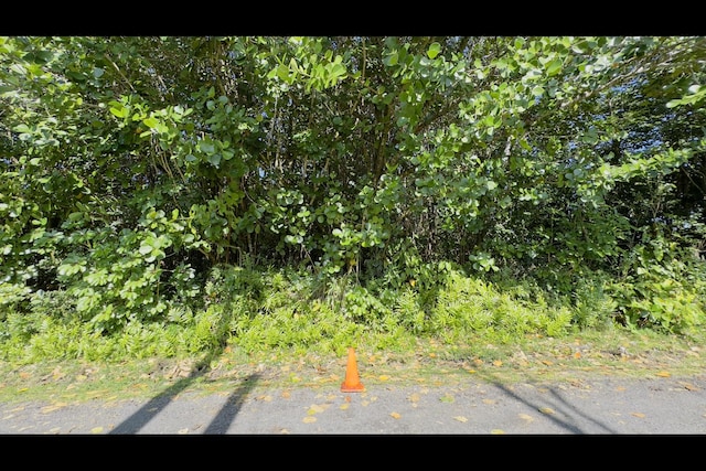 Kilika Rd, Keaau, HI 96749