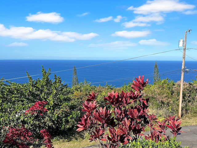 87-3188 Boki Rd, Captain Cook, HI 96704 - water view