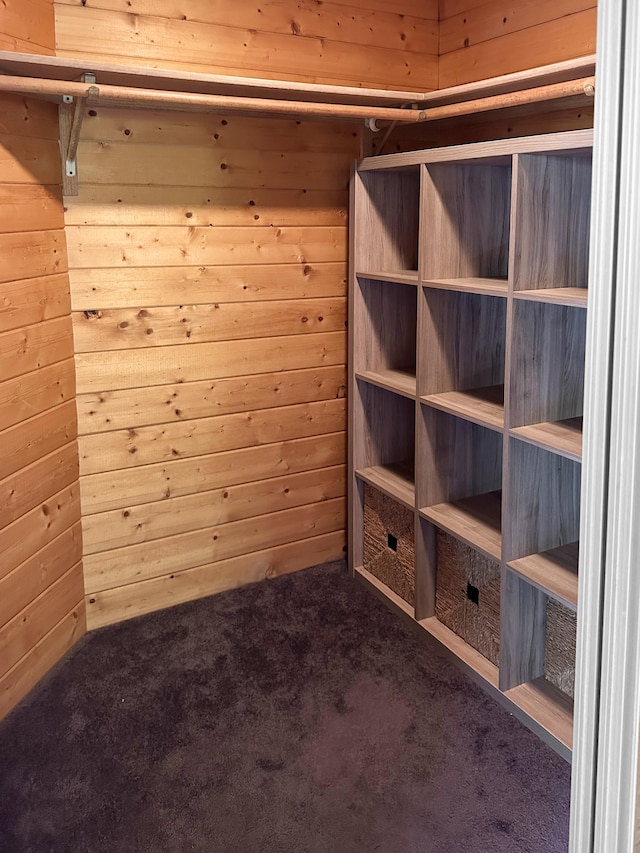 87-3188 Boki Rd, Captain Cook, HI 96704 - walk in closet featuring carpet floors