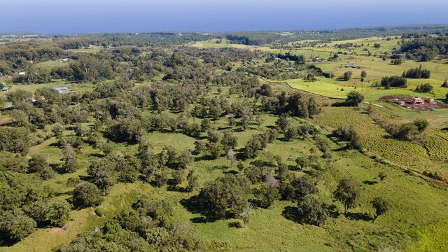 43-1815 Manienie Rd, Paauilo, HI 96776 - photo 6