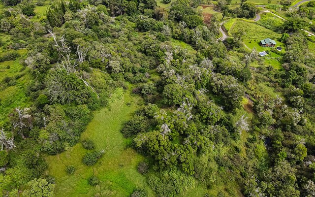 43-1815 Manienie Rd, Paauilo, HI 96776 - photo 3