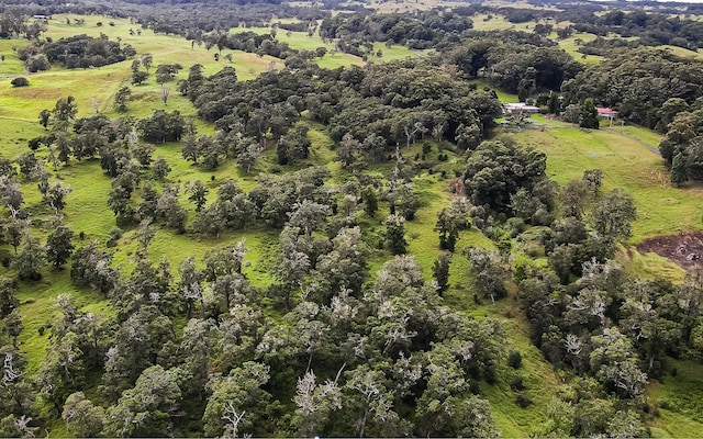 43-1815 Manienie Rd, Paauilo, HI 96776 - photo 7