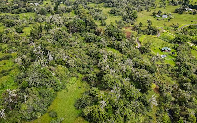 43-1815 Manienie Rd, Paauilo, HI 96776 - photo 8