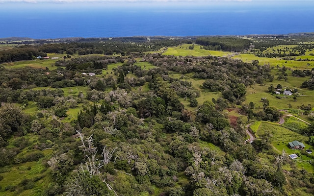 43-1815 Manienie Rd, Paauilo, HI 96776 - photo 10