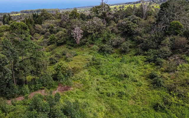 43-1815 Manienie Rd, Paauilo, HI 96776 - photo 9