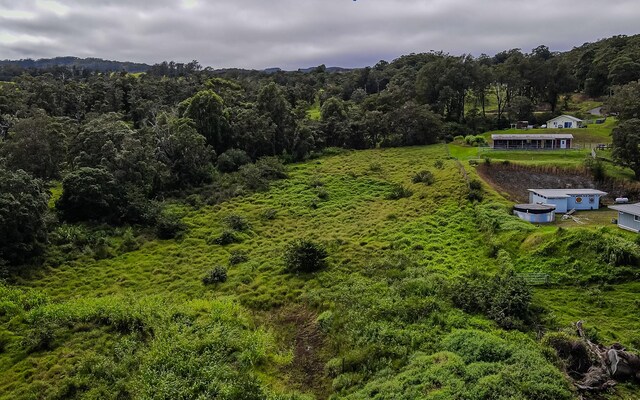43-1815 Manienie Rd, Paauilo, HI 96776 - photo 13