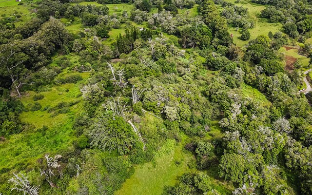 43-1815 Manienie Rd, Paauilo, HI 96776 - photo 14