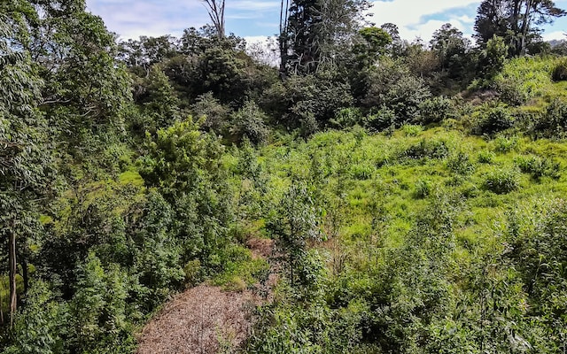43-1815 Manienie Rd, Paauilo, HI 96776 - photo 17