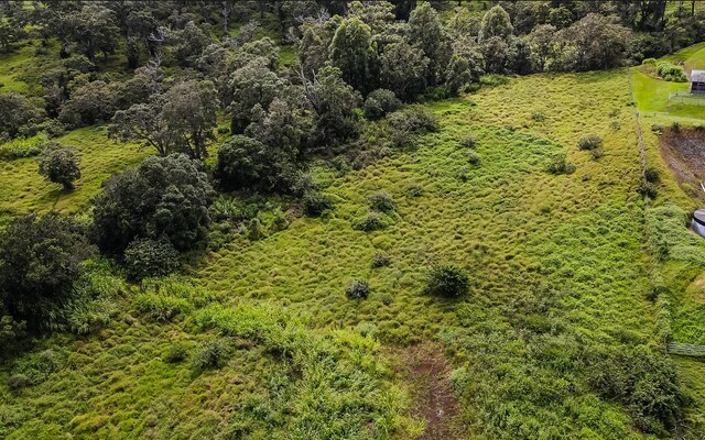 43-1815 Manienie Rd, Paauilo, HI 96776 - photo 18