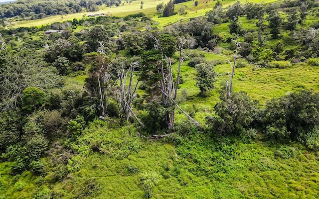 43-1815 Manienie Rd, Paauilo, HI 96776 - photo 19