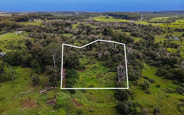 43-1815 Manienie Rd, Paauilo, HI 96776 - photo 20
