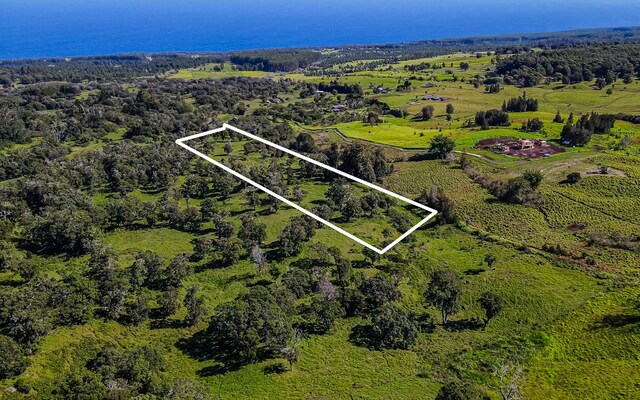 43-1815 Manienie Rd, Paauilo, HI 96776 - photo 21