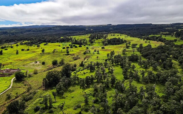 43-1815 Manienie Rd, Paauilo, HI 96776 - photo 24