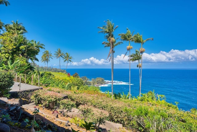 36-2335 Old Mamalahoa Hwy, Laupahoehoe, HI 96764 - water view
