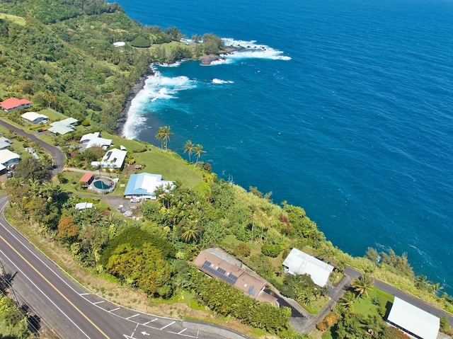 36-2335 Old Mamalahoa Hwy, Laupahoehoe, HI 96764 - aerial view of property's location with a large body of water