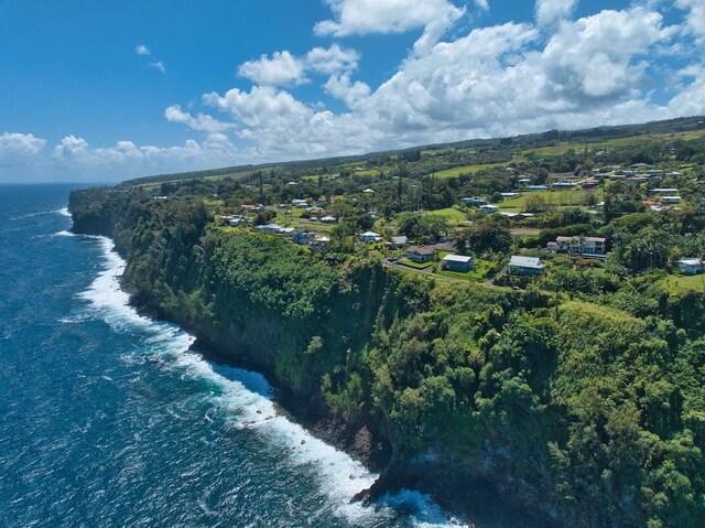 36-2335 Old Mamalahoa Hwy, Laupahoehoe, HI 96764 - drone / aerial view of expansive coastline