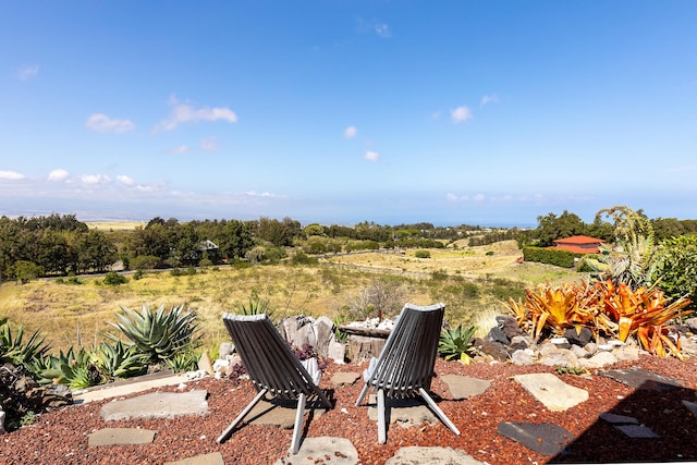 62-2258 Kanehoa St, Kamuela, HI 96743 - photo 29