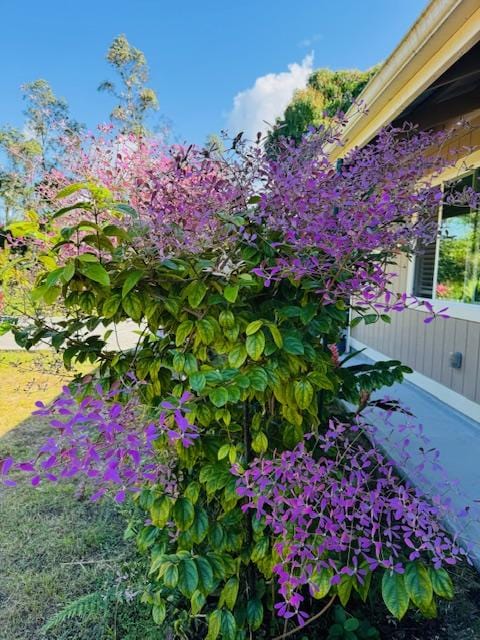 15-1798 20th Ave, Keaau, HI 96749 - exterior view