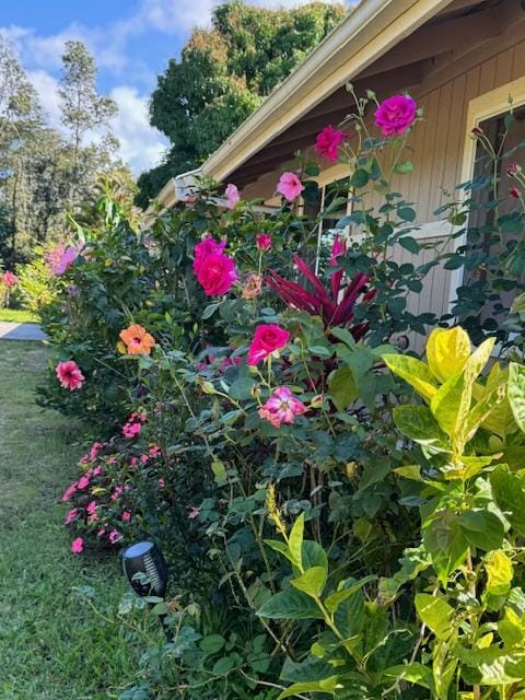 15-1798 20th Ave, Keaau, HI 96749 - view of side of property