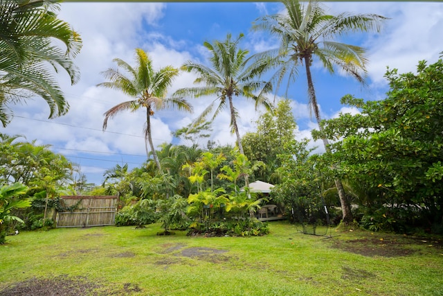 15-1565 Beach Rd, Keaau, HI 96749 - view of yard