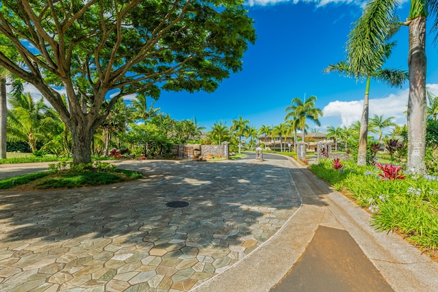 4100 Queen Emmas Dr Unit 64, Princeville, HI 96722 - view of decorative road