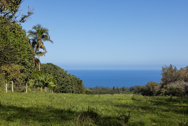 Kapaau, HI 96755