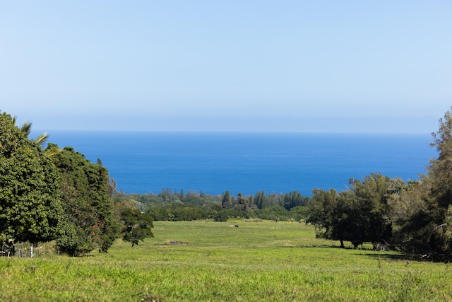 Kapaau, HI 96755
