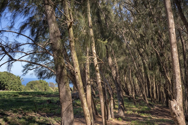 Kapaau, HI 96755