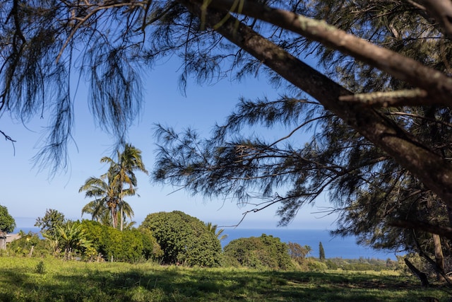 Kapaau, HI 96755