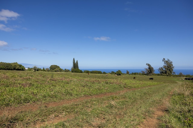 Kapaau, HI 96755