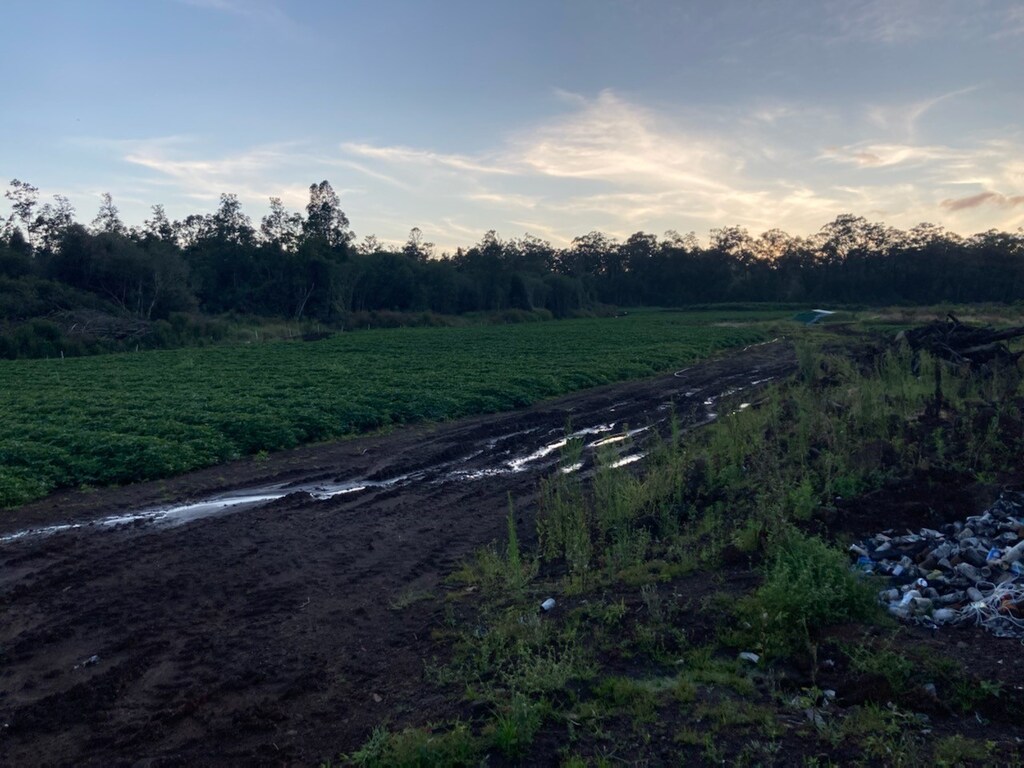 18-3931 Kopua Rd, Volcano, HI 96785 - photo 1