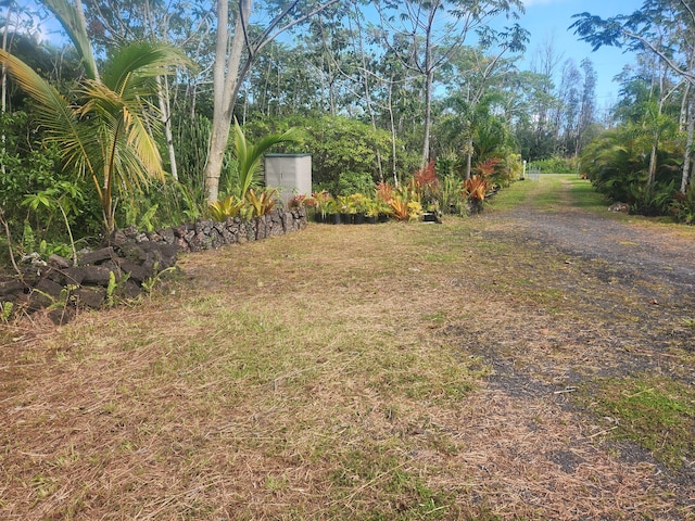15-2064 26th Ave, Keaau, HI 96749 - view of yard