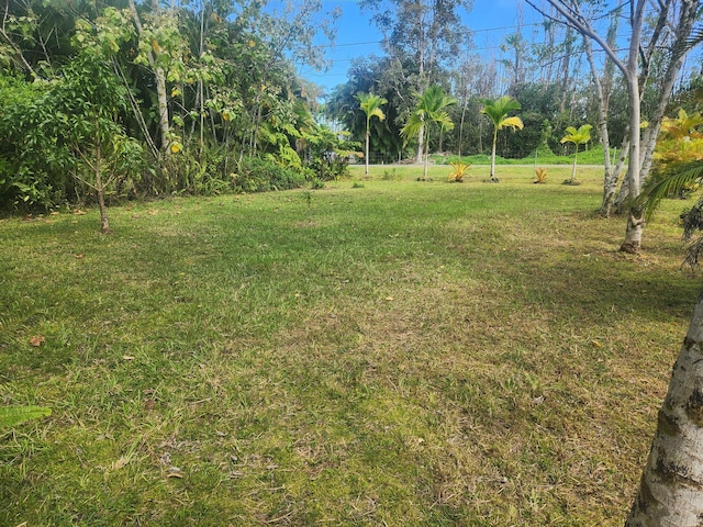 15-2064 26th Ave, Keaau, HI 96749 - view of green lawn