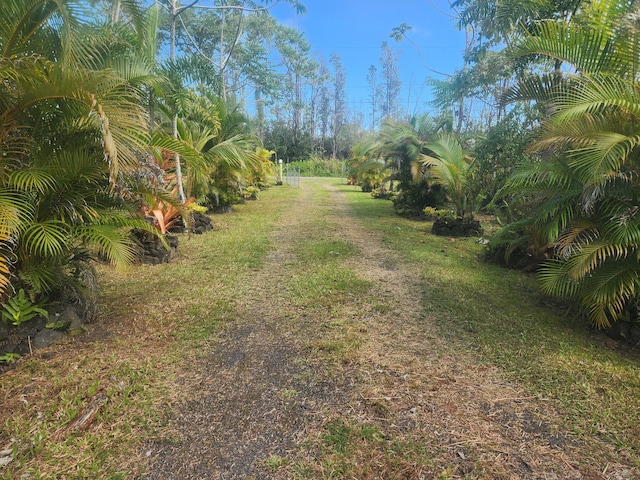 15-2064 26th Ave, Keaau, HI 96749 - view of yard