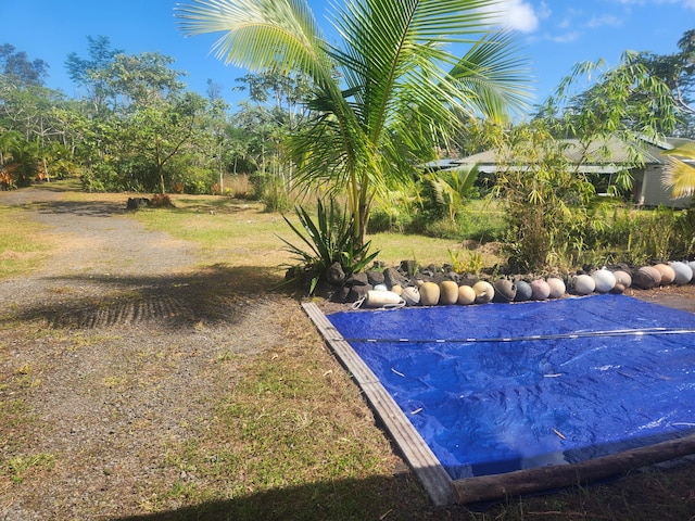 15-2064 26th Ave, Keaau, HI 96749 - view of swimming pool