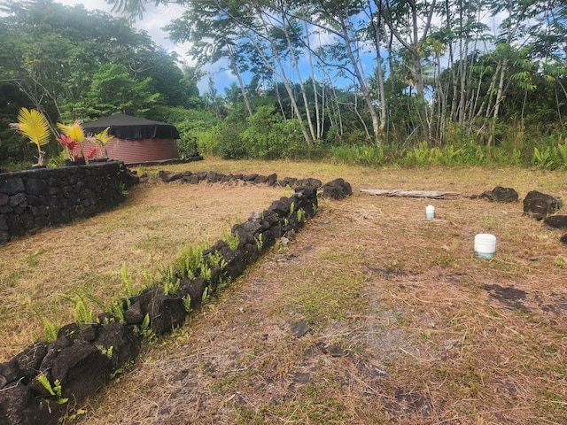 15-2064 26th Ave, Keaau, HI 96749 - view of yard