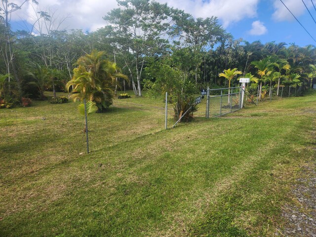 15-2064 26th Ave, Keaau, HI 96749 - view of yard