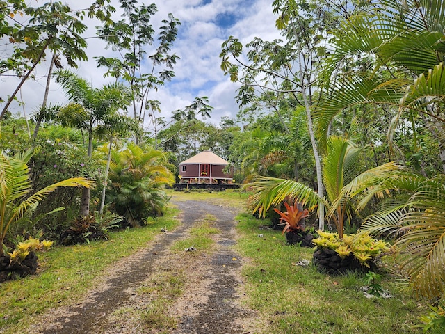 15-2064 26th Ave, Keaau, HI 96749 - view of dirt / gravel driveway